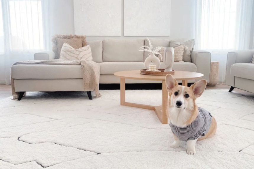 What Is The Carpet Cleaner For Dog Urine